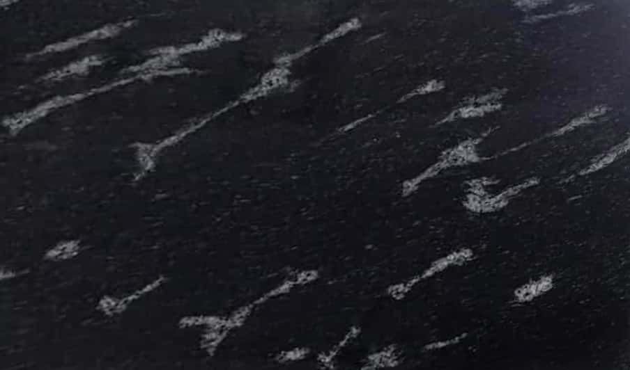 fish black granite