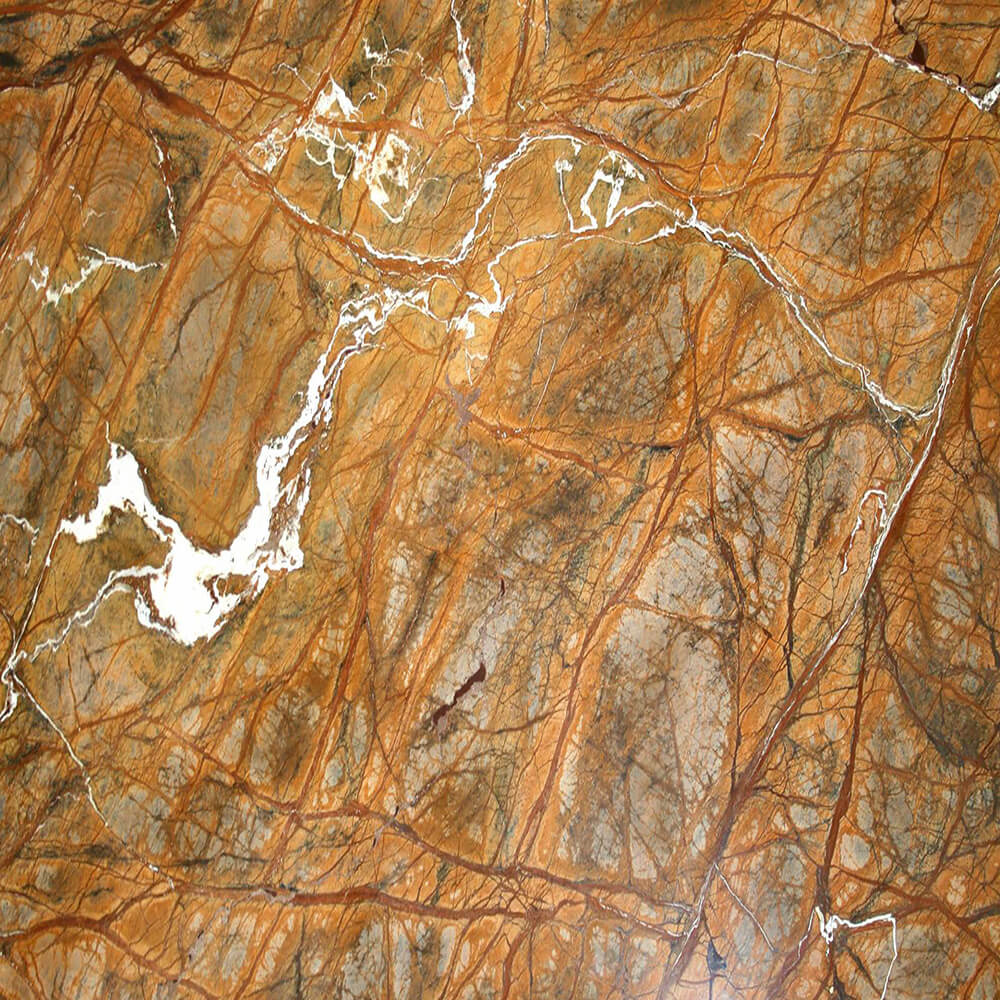 Rainforest Gold Marble close-up, gold to amber-cream with branch-like gold and white veining, Stone Harbor Exports