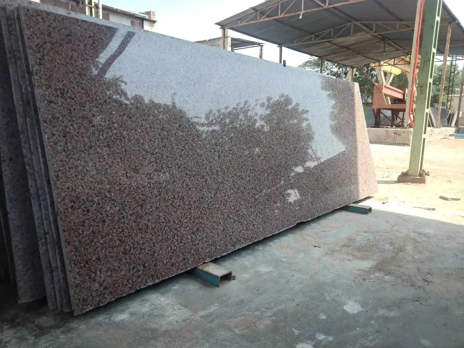Highly polished Chima Pink Granite slabs ready for export, displayed in the Stone Harbor Exports processing yard. Each slab features a consistent granular texture with a mix of light pink, grey, and black minerals.
