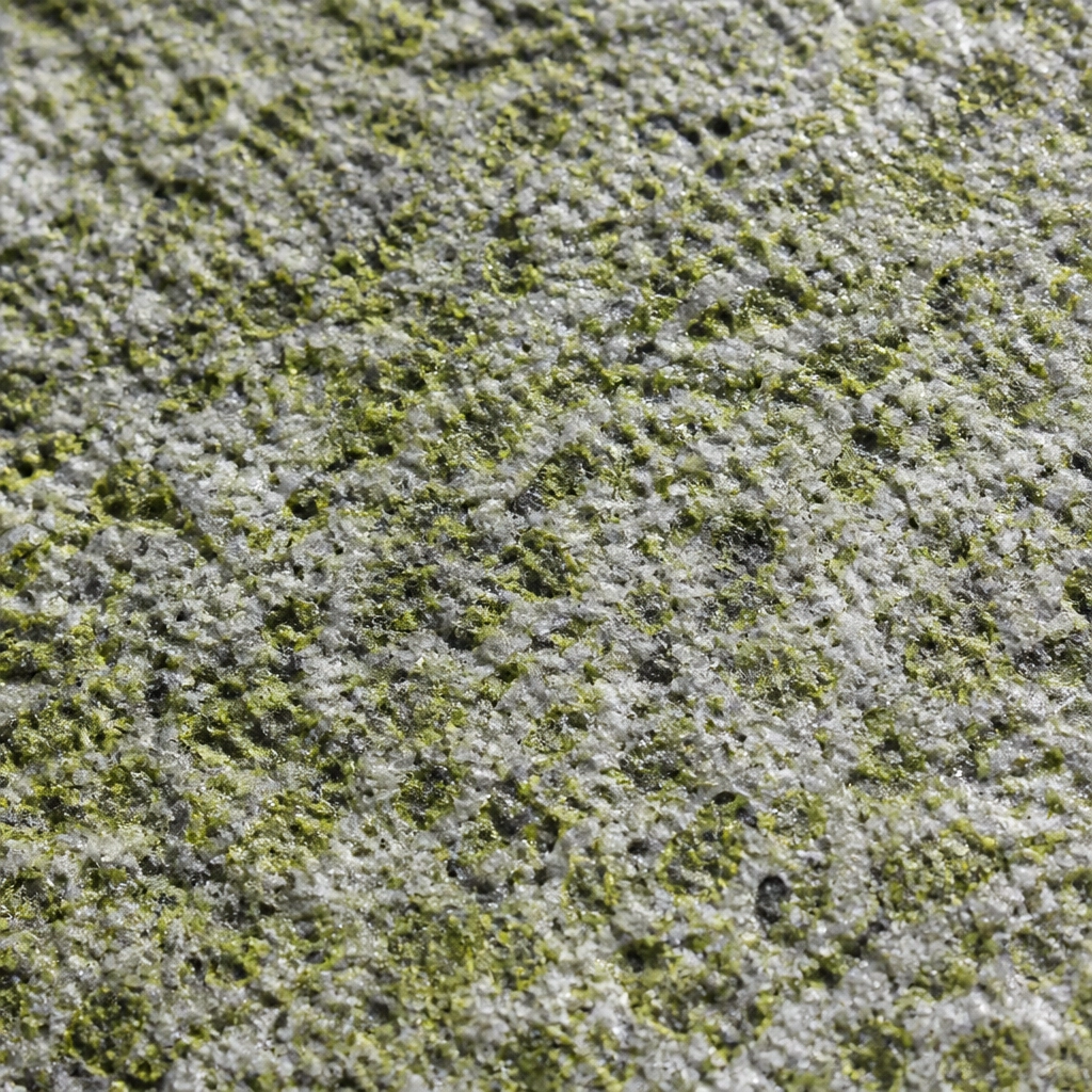 The "Green" Wave: Exploring the Aesthetic Versatility of Apple Green Granite in Modern Landscaping 1 A macro close-up of Apple Green Granite with a flamed and bush-hammered finish. Showcases the rough, non-slip texture, the vibrant green epidote minerals, and subtle grey and black crystalline flecks.