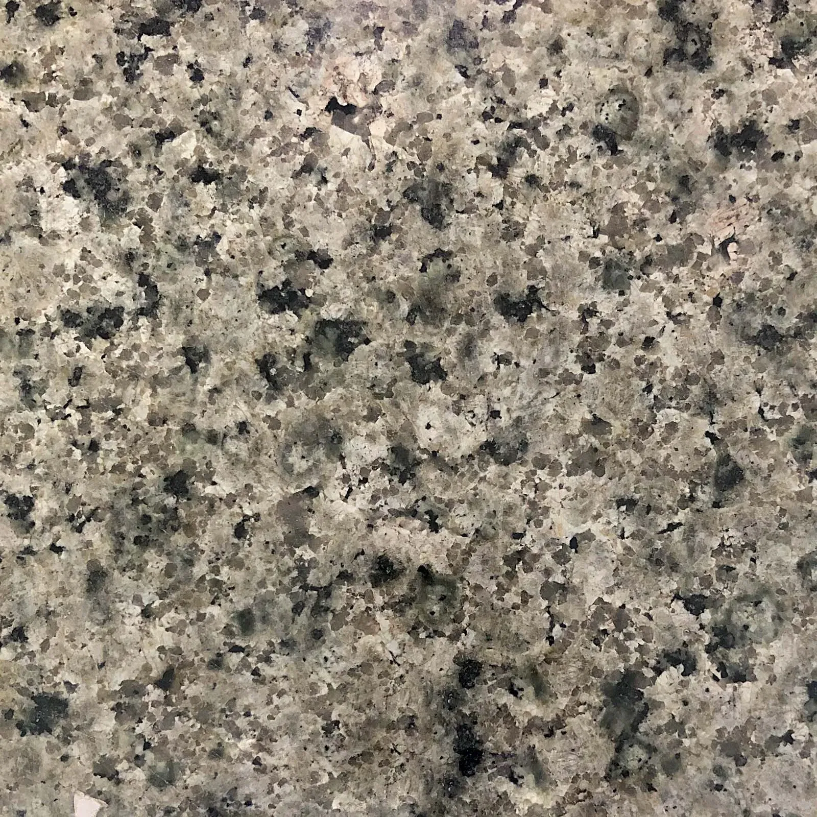 Beyond the Neutral: Why Design Visionaries are Turning to Apple Green Granite for Biophilic Luxury 1 Close-up of Apple Green Granite showing its vivid saturated green tones and complex mineral structure.
