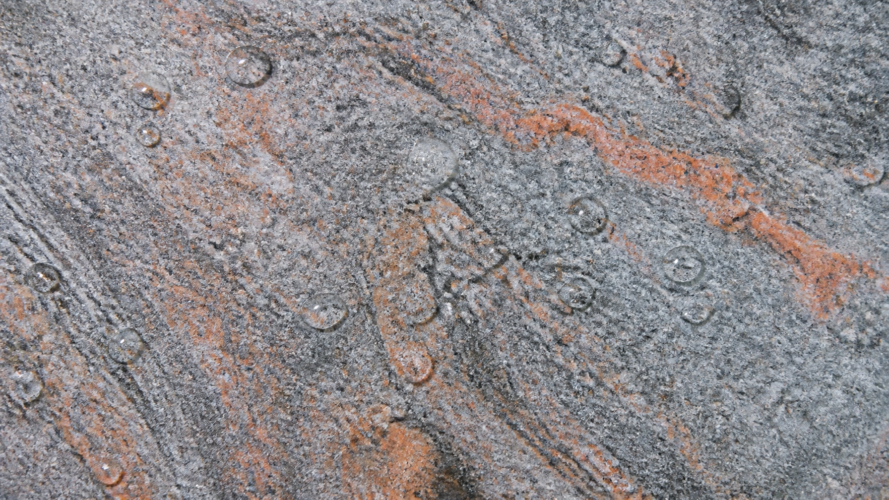 Himalayan Blue Granite: Scaling High-Altitude Aesthetics for Coastal Resort Projects 1 Detailed close-up of a flamed finish Himalayan Blue Granite slab revealing the textured mix of blue-grey and soft orange swirls.