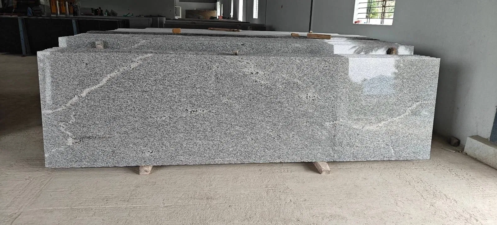 Modern Neutrals: The Growing Global Demand for Granite Grey Colour in Industrial Design 2 Polished grey granite slabs ready for inspection at a Stone Harbor Exports processing facility.