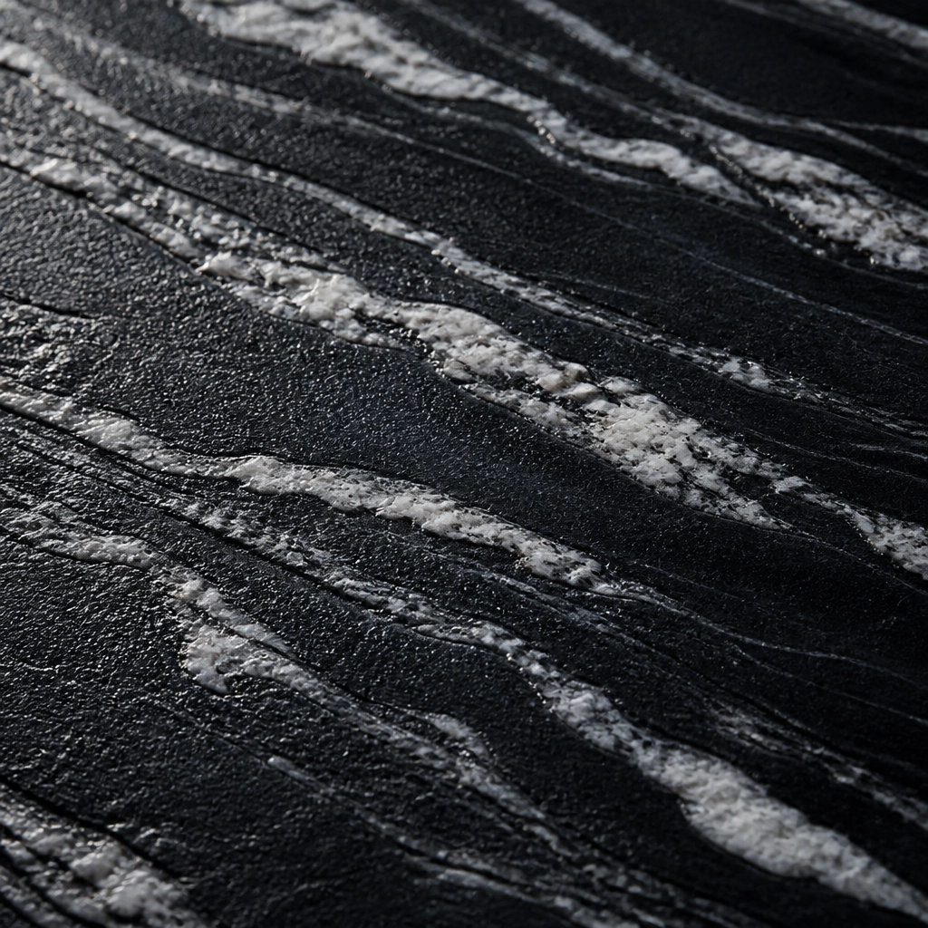 Leathered Black Forest Granite: Why This Texture is Taking Over Global High-End Interiors 2 Texture Close-up: The matte, pebbled surface of Leathered Black Forest Granite